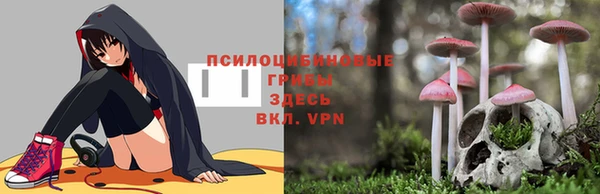 ешки Пенза