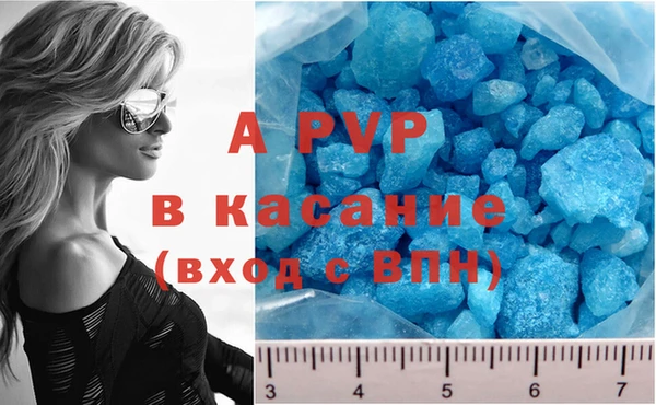 мескалин Касимов